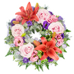 A thoughtfully designed circular wreath for funerals or memorials is displayed against a clear white background, its colours and forms working together to create a calm, dignified presence. The wreath is densely covered with flowers, beginning with generous clusters of soft pink and blush-toned roses whose velvety petals curl inwards in layered spirals, evoking tenderness and affection. Among these sit several striking reddish-orange lilies, fully open and star-shaped, their bold hue adding a note of strength and remembrance without overpowering the composition. Threaded between the roses and lilies are lisianthus blooms in shades of gentle pink and deep, almost jewel-like purple, their ruffled, cup-shaped petals providing texture and subtle contrast. Tiny stems of lavender-blue filler flowers, similar to statice, appear like light mist between the larger heads, gently blending the colour transitions. The flowers are supported by a rich collar of mixed greenery: silvery eucalyptus discs, fine fern fronds, and darker, glossy leaves, all layering together to create depth and a natural, garden-inspired feel. Distinctive blue-grey eryngium thistles, with their spiky forms, punctuate the design and introduce a quietly resilient note, while a few unopened lily buds nestle among the foliage as a symbol of memories still unfolding. Carefully folded bright green leaves near the main lilies give a modern, crafted finish that reflects professional floral skill. Designed with the serene, tree-lined streets of Gerrards Cross in mind, this wreath would be a fitting tribute for a local church service, crematorium farewell, or graveside ceremony, offering comfort and a visual expression of enduring love.
