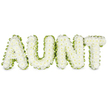 This photograph focuses on a bespoke floral tribute spelling the word AUNT, the four capital letters arranged in a clean line and completely filled with white chrysanthemums. Each bloom sits snugly against its neighbour, creating a smooth, cushioned surface with a soft, almost snowy texture. The petals, though small and delicate, collectively form a strong, unified block of white for every letter, giving the arrangement a sense of stability and gentle dignity. Running along the outer edge of each letter is a narrow border of vivid green foliage or neatly pleated ribbon, tracing curves and corners with accuracy. This green frame not only separates the letters from the plain white background but also hints at the freshness and living energy of nature-something very familiar to anyone who has walked through the leafy corners of Gerrards Cross, from the Common to the quiet residential avenues nearby. The lighting is neutral and even, without dramatic shadows, so the natural textures and tones of the flowers remain the focus. The tribute feels deeply personal, the kind of piece a family might commission in memory of a much-loved aunt whose kindness has shaped generations. You can almost picture it delivered by a careful local florist to a chapel or crematorium service, where it would rest among other sympathy arrangements, a calm focal point amid shared grief. Its restrained colours and precise craftsmanship make it a touching, understated expression of remembrance, a floral message that simply and clearly says AUNT while holding a world of stories, affection, and gratitude within its petals.
