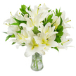A luminous, hand-gathered bouquet of white lilies fills the frame, each trumpet-shaped bloom layered with satiny, pure-white petals that unfold in soft, graceful curves. Toward the heart of each flower a warm, creamy yellow-green throat deepens the whiteness and draws the eye inward, while long, pale greenish-yellow filaments extend from the centre and finish in earthy brown anthers that add delicate, textural contrast against the pristine petals. The flowers are densely arranged so the eye travels from full open blossoms to partially unfurled buds, creating a sense of abundant life and careful staging. Glossy, lance-shaped leaves of deep verdant green are woven through the composition, their cool, waxy surfaces providing a natural frame that makes the whites read even brighter. The stems sit in a clear, classic glass vase with a gently flared neck and visible, sparkling water that catches soft light and reveals the clean green stalks descending into the base. There is a subtle suggestion of scent - a gentle, sweet lily perfume that would float through a small room - and the overall effect is one of serene refinement. The studio-like white background keeps attention on each petal's texture and the bouquet's sculptural silhouette, evoking feelings of peace, quiet celebration, or thoughtful remembrance. As a local florist who often prepares sympathy tributes and refined centrepieces for homes around Gerrards Cross, I aim for this same crisp freshness and compositional balance when crafting arrangements for the High Street, village green gatherings, or intimate home displays.