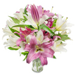 A lush bouquet of oriental lilies fills the frame, a careful study in pinks and creams that reads like a small, blooming landscape. Against a crisp white backdrop the arrangement's creamy off-white lilies sit beside deep magenta and fuchsia blooms, the petals silk-smooth and often veined with paler lines that lead the eye toward each flower's softly shaded throat. Many blossoms are fully open, their trumpet- and star-shaped faces revealing slender stamens tipped with pale anthers, while a number of long, elegant buds remain gently furled, promising more opening over the coming days. Dark green, lance-shaped leaves weave between the heads, their glossy texture and pointed tips giving contrast and architectural rhythm to the bouquet. The stems are gathered into a simple, clear glass vase visible at the bottom centre; the transparent water and trimmed stems can be seen through the glass, a small honesty of freshness that florists in Gerrards Cross respect when delivering to houses along the High Street, near the station, or to neighbours by the village green. Bright, even lighting sculpts the petals and enhances the lilies' velvety surfaces, and a faint, sweet floral scent seems almost present in the image - that delicate lily perfume associated with spring mornings and special celebrations. The overall feeling is refined and celebratory, a composition that reads equally well on a mantelpiece in a family home or as a thoughtful gift for an anniversary, birthday, or Mother's Day bouquet ordered locally in Gerrards Cross.