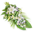 An elongated sympathy arrangement of white lilies and lisianthus is displayed on a plain white backdrop, inviting close attention to every subtle detail. The spray is arranged on a diagonal, with its fullest concentration of flowers gathered at the upper left, then gradually tapering to a slender, pointed finish at the lower right, creating a poised, flowing line that feels ideal for resting on a casket or beside an urn at a memorial service in Gerrards Cross. Prominent in the design are several oriental lilies in pure white: some have opened fully, their broad, slightly recurved petals forming star-like blooms around greenish-yellow stamens, while others remain partly closed, smooth buds that add height and a sense of quiet anticipation. Interwoven among these are clusters of lisianthus (Eustoma), whose smaller, more delicate flowers lend texture and softness. Many of the lisianthus blossoms are white with fine lavender or violet edges that seem hand-painted, and numerous buds add rhythm and depth along the length of the composition. The flowers emerge from a foundation of varied greenery. There are wide, glossy leaves that anchor the base, some expertly folded or rolled into contemporary shapes to add structure, alongside long, narrow fronds that sweep outwards, particularly towards the right, giving the impression of gentle movement, like a breeze over Gerrards Cross Common. Different shades of green and a mix of smooth and slightly textured leaf surfaces create visual interest while preserving a calm, soothing palette. The entire piece conveys an atmosphere of respect, peace, and enduring love, the kind of thoughtful funeral tribute chosen to honour a life with quiet dignity and grace.