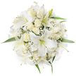 Seen from a graceful top-down perspective against a pure white backdrop, this perfectly round bouquet reads like a study in quiet refinement. Large white oriental lilies open wide with trumpet-shaped petals and pale green stamens at their hearts, their satin surfaces catching soft, even light; nestled between them are numerous creamy ivory roses, most held in tight buds or just beginning to unfurl, their velvety layers forming gentle rosettes. Tiny sprays of white Baby's Breath (Gypsophila) weave throughout the composition, creating a cloud-like softness that lifts the heavier blooms and adds delicate, lace-like texture. A few fresh green leaves peek shyly from the edges, their vivid tone giving the all-white palette a crisp counterpoint and defining the bouquet's circular silhouette. The arrangement's dense, symmetrical composition and monochrome harmony suggest calm, purity, and dignified celebration-suitable as a bridal posy, an elegant centerpiece, or a thoughtful sympathy tribute. Imagine the subtle mingling of scent here: the lilies' sweet, luminous perfume brushing gently against the deeper, honeyed notes of the roses, while the Baby's Breath offers a whisper of meadow freshness. The overall impression is timeless and carefully crafted, a bouquet that reads as both modern and classic. As a local florist's image styled for Gerrards Cross patrons, this photograph evokes mornings in the High Street market, understated window displays near the station, and the serene confidence of flowers chosen for significant life moments.