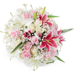 A rich, rounded bouquet of lilies, roses, and baby's breath appears almost to float against a stark white background, its fullness and careful balance speaking of expert floristry in Gerrards Cross. The composition is dominated by generous white lilies, some in magnificent full bloom, their trumpet-shaped petals curving outward to reveal clean green centres and gentle yellow stamens dusted with pollen, while nearby buds remain tightly closed and fresh. Between these elegant lilies, clusters of pale pink roses and creamy white roses nestle closely, their velvety petals unfolding in spirals that range from just-opening cups to luxuriantly open blossoms brimming with softness. Adding a sense of drama, several deep pink Oriental lilies punctuate the bouquet, their magenta petals flushed with darker speckles and falling back from pronounced yellow anthers, creating vibrant focal points that draw the eye. Fine sprays of white Gypsophila weave around these larger blooms, like a constellation of tiny stars, softening edges and filling every space with a light, cloud-like texture. Occasional flashes of fresh green leaves hide behind the flowers, lending a quiet hint of garden foliage without interrupting the primarily pink-and-white palette. The lighting is bright and even, with no harsh shadows, so each texture-from the almost satin surface of the lily petals to the delicate frill of baby's breath-can be imagined clearly. This bouquet feels ideal for joyful, heartfelt occasions in and around Gerrards Cross, such as a birthday surprise delivered near Dukes Wood, a romantic gesture for a dinner at home, or a congratulatory gift celebrating a new home along one of the area's tree-lined avenues.