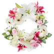 A full circular sympathy wreath is shown against a spotless white background, its design carefully balanced between serenity and rich detail. The shape is an open ring, dense with flowers yet airy at the centre, allowing light to pass through and giving the tribute a sense of openness. Large white oriental-style lilies are the stars of the piece, their petals broad and slightly recurved, forming graceful, star-like shapes around the wreath. At their throats, soft green and golden tones in the pistils and stamens add gentle contrast. Among these, vivid deep pink and fuchsia lilies create pockets of intense colour, their speckled petals and deeper centers lending a sense of depth and warmth. Scattered throughout are white gerbera daisies with dark brown or almost black centers, offering crisp, modern texture and a subtle play of light and shadow. Soft blush-pink roses and creamy white roses are carefully tucked between the larger blooms, some petals still tight, others fully expanded, suggesting the different chapters of a life well lived. Fine white filler blossoms, perhaps spray roses or miniature carnations, fill the tiniest gaps, bringing a cloud-like softness that ties the design together. The entire wreath is edged and underpinned with fresh green foliage-leafy stems, rounded leaves, and hints of new shoots-giving it definition and a natural, garden-like feel. The illumination appears even and gentle, much like a bright but quiet day in Gerrards Cross, creating clear detail without harsh shadows. Ideal as a funeral wreath or memorial tribute, this arrangement would feel at home in local services across the town, offering comfort and a refined expression of love, remembrance, and peace.