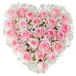 A sumptuous heart-shaped bouquet photographed against a pure white backdrop, composed almost entirely of soft, pastel-pink roses tightly arranged to form a seamless, velvety surface. Each rose shows subtle variation in tone - from a whisper of blush at the outer petals to a slightly deeper rose hue toward each bloom's centre - and the blooms sit at different stages of opening so the texture reads as both plush and alive. Nestled among the roses are countless miniature clusters of cloud-like white gypsophila (baby's breath), their fine sprays catching the bright, even light and creating a delicate, lace-like contrast that defines the heart's edge and lifts the composition visually. The lighting is crisp and clean, picking out the satiny sheen of the petals, the soft shadows between blooms, and the feathery, almost translucent quality of the baby's breath. To a florist's hand this arrangement speaks of careful balance: dense, romantic roses tempered by ethereal white accents, finished to convey tenderness and devotion. The overall feeling is intimate and reverent - a statement of enduring love suitable for anniversaries, engagements, Valentine's Day, or as a gentle expression of sympathy and remembrance. Imagine holding this heart close enough to breathe and sensing the faint, honeyed scent of fresh roses beneath the airy breath of gypsophila; the composition reads as both a visual and emotional embrace, a classic declaration of affection crafted with skilled attention to proportion, texture, and heartfelt intent.