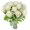 A serene, classic bouquet of about a dozen full, velvety white roses fills the frame, arranged with airy sprigs of baby's breath (Gypsophila) and a halo of lush green foliage. Each rose is shown at full bloom, petals unfurling in soft spirals from slightly creamy-yellow centres into pristine, satin-white outer petals; the texture reads as smooth and almost tactile, like cooled porcelain or silk. Tiny clusters of gypsophila drift between the larger blooms, their minute white bells forming a cloud-like veil that softens the bouquet's silhouette and adds delicate depth. Beneath the flowers, glossy leaves of varying shapes fan out, introducing rich verdant tones that anchor the composition and provide contrast to the luminous whites. The stems are neatly trimmed and visible through a clear, gently flared glass vase at the image's lower centre; water refracts light faintly around the submerged stems, reinforcing the sensation of freshness. Bright, even lighting from the front and slightly above bathes the arrangement, casting soft, minimal shadows and making the whites appear warm and radiant rather than stark. The plain white background isolates the bouquet, inviting focus on floral detail, texture, and scent-an imagined soft perfume of clean rose and green. This thoughtful design evokes quiet dignity and reassurance, suited to weddings, sympathy, anniversaries, or a calming centrepiece at home. As a local florist I picture this arrangement sitting on a simple oak table in Gerrards Cross village, where its muted elegance would bring a moment of calm and gentle beauty to any room.