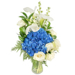 A tall, refined bouquet stands in a clear, tapered glass vase, set against a clean white background so every detail reads like a quiet portrait. At the heart of this arrangement sits a generous, rounded cluster of deep royal blue hydrangeas-their dense, velvety mopheads catching soft highlights and offering a cool, soothing focal point. Around and beneath that blue heart nestle creamy white roses, each bloom layered with velvety petals that unfold in gentle spirals and soften the bouquet's silhouette. Rising above the central cluster are sculptural white calla lilies, their trumpet-shaped spathes smooth and porcelain-bright, with the faintest hint of pale green at their bases; they lend a graceful verticality and calm, architectural lines. Interspersed among the lilies and hydrangeas are slender white snapdragons (or similar spiky blooms), their tiny florets adding a whimsical, airy texture and subtle movement. Throughout, glossy dark-green leaves and delicate feathery fern fronds weave depth and refreshment, the foliage cascading slightly toward the vase's rim and visible stems resting in crystal-clear water. The glass reveals the neat, professional pruning of stems and underlines the flowers' freshness. Light seems soft and morning-like, hinting at a faint floral scent of rose and green leaf rather than overpowering perfume. The overall impression is serenity and understated luxury-a composition suited to comforting sympathy, a thoughtful anniversary, or a dignified table centerpiece. This arrangement reads as the work of a careful hand, balanced in colour and texture, designed to calm and uplift with its cool blues, pure whites, and living green.