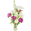 A fresh, elegant bouquet arranged in a gently curved clear glass vase, captured against a clean white backdrop so every texture reads clearly. The composition is vertical and refined: slender white calla lilies rise like porcelain trumpets, their smooth, waxy petals curving into pale yellow spadices that catch the light and lend a modern, sculptural line to the design. Beside them, a tall spire of white stock unfurls dozens of tiny clustered florets, adding a soft, pillowy column of scent and a delicate textural contrast. Deep magenta peonies provide theatrical colour - two fully open blooms reveal layers of velvety ruffles and saturated petals in a rich fuchsia, while a smaller, tight peony bud on its stem promises another bloom soon. Near the base, a single creamy white rose with tightly spiralled petals offers a classic counterpoint to the exuberant peonies. Wisps of baby's breath (Gypsophila) are delicately woven through the stems, creating an airy, cloud-like halo that lightens the arrangement. Lush greenery - a mix of slender, fern-like fronds and broader vibrant leaves - frames each flower and gives the bouquet a natural, garden-fresh feel. The clear vase shows stems and water, reinforcing the sense of freshness and honest craftsmanship. This is the sort of bouquet you might choose to mark a birthday, an anniversary, or a heartfelt congratulations, with a quiet elegance that suits intimate gatherings or a thoughtful delivery across Gerrards Cross. The overall mood is celebratory and serene, crafted with the steady hand of a local florist who values balance, scent, and lasting beauty.