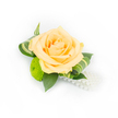A petite, handcrafted boutonniere or corsage set against a clean white backdrop, the focal point a soft peach rose whose layered petals open from a tighter, apricot-hued centre to paler outer curls like spun silk. Just beneath and slightly to the left, a lime-green button chrysanthemum sits like a cheerful, textured button - its tiny florets packed into a compact globe that creates a crisp colour contrast and a playful, springlike bounce. Deep green ruscus leaves form a sturdy, glossy base, their smooth surfaces grounding the composition and giving weight to the bloom, while elegantly curled variegated foliage with lighter green stripes frames the rose and adds sculptural movement. A delicate strand of white faux pearls trails from the lower right of the cluster, catching the bright studio light and suggesting vintage elegance without overpowering the natural elements. The lighting is bright and even, revealing the dew-like sheen on the petals and the chrysanthemum's fine texture, and the overall impression is one of refined celebration - suited to a wedding lapel, prom accessory or formal gathering. I describe this as a local florist would for a client choosing a keepsake corsage in Gerrards Cross: imagine it fastened near the collar for photos on Gerrards Cross High Street or tucked into a small gift box for guests arriving at the station. The scent is hinted at rather than strong - a quiet whisper of rose warmed by fresh greenery - and the arrangement's clean lines and subtle contrasts make it feel both classic and contemporary, carefully composed by hands that value balance, texture and joyful detail.