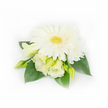 This delicate corsage is a study in quiet elegance: a single, fully open white Gerbera daisy sits at the centre, its smooth, feather-like petals fanning out around a lively yellow-green disk that gives the piece an immediate, fresh focal point. Around and beneath the Gerbera, pale creamy Lisianthus blooms and buds unfurl in soft, ruffled layers, their buttery ivory tones catching gentle, diffuse light and lending a tactile, almost velvety texture to the composition. A small, layered white chrysanthemum or daisy peeks from the upper right, adding fullness and a subtle shift in petal structure that enriches the overall silhouette. Several slender, light-green Lisianthus buds-some tightly closed, others barely unfurling-introduce a sense of movement and the promise of growth. The flowers are cushioned by broad, deep emerald leaves whose glossy surfaces and cool, botanical green provide a restful backdrop and make the whites sing in contrast. Tiny, pearlescent beads tucked among the foliage on the right inject a discreet shimmer, a whisper of formality that makes this piece especially suited to weddings or anniversary celebrations. The arrangement rests against a pristine white background, which keeps the eye on the gentle palette of white, cream, and green and highlights the careful craftsmanship. As a florist who often prepares flowers for ceremonies near Packhorse Road and around Gerrards Cross station, I picture this corsage pinned to a lapel on a clear spring morning-its scent light, its look composed, and its presence both calming and quietly celebratory.