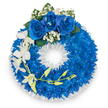 A solemn, meticulously crafted circular wreath rests against a clean white backdrop, its dominant palette an arresting blend of electric and royal blues softened by pure white accents. The main body is a dense, continuous ring of small, vividly blue chrysanthemums or similarly petalled blooms; each tightly packed head creates a plush, velvety texture that catches a cool, studio light and reads as almost fabric-like in depth. At the top, three large royal blue roses bloom fully, their velveteen petals unfurling outward and gently haloed by feathery sprays of white baby's breath and a few deep green leaves that punctuate the circle with natural contrast. From the left side, a graceful spray of pristine white orchids - suggestive of Phalaenopsis or Dendrobium - cascades down in a soft, asymmetrical movement; their broad petals and elongated stems are threaded with a slender curving stem of pale yellow-green buds, a quiet sign of newness amid remembrance. The inner edge is carefully finished with a ruffled white satin or silk ribbon, crisp against the floral mass and framing the central void with formal dignity. The arrangement radiates an atmosphere of respectful calm, a composition intended for funerals or memorials where blue signifies serenity and fidelity. There is a faint, clean floral scent, subtle and reassuring rather than sweet, adding to the sense of care and restraint. As a local florist accustomed to commissions for Packhorse Road funerals and services at nearby churches in Gerrards Cross, I designed this wreath to speak of peace, memory, and thoughtful presence when words are scarce.