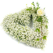A tender, heart-shaped wreath composed almost entirely of tiny, cloud-like white Baby's Breath (Gypsophila) blooms, arranged with meticulous care to form a soft, pillowy outline of a heart. The dense, snow-white clusters create a floating texture across the whole surface, each minute blossom catching a cool, diffused light that reveals pearl and cream undertones. Near the upper right curve a single creamy-white rose is nestled as a deliberate focal point; its petals are tightly spiralled and seem to hold a hush, offering a quiet point of reflection amid the airy gypsophila. Intertwined with the flowers are glossy, lobed ivy leaves and slender, eucalyptus-like sprigs that thread down the right side of the heart, introducing deep green contrast, subtle fragrance, and a gentle vertical motion against the soft white field. The overall palette stays restrained-soft whites, warm ivory, and muted greens-set against a crisp white background so the textures and layers read clearly to the eye. You can almost sense the faint, powdery scent of the gypsophila balancing the richer, honeyed perfume of the rose, and feel the careful handwork of a florist shaping the wreath to lie flat and even. This composition reads as an expression of pure sympathy and respectful remembrance, a classic choice for a funeral or memorial. As a local piece prepared for families in Gerrards Cross and surrounding Chalfont villages, it conveys calm dignity and enduring affection, a simple, sincere tribute for moments of farewell and consolation.