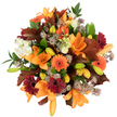This radiant bouquet reads like autumn sunlight captured and tied with ribbon: a close, overhead study of lavish seasonal blooms arranged against a pristine white backdrop so every colour and texture is clear. Dominating the picture are fully opened orange Asiatic lilies with trumpet-shaped petals that curl at the tips, their warm apricot-orange tones edged by pale veins. Interspersed are bright pumpkin-orange Gerbera daisies and contrasting deep burgundy-red Gerberas, each with a pronounced dark centre that anchors the composition. Tightly furled lily buds in fresh green and pale orange promise the bouquet will open further, adding a sense of life and anticipation. Soft, creamy-white Lisianthus or miniature roses nestle between the bolder shapes, their ruffled petals offering delicate, cool highlights. Muted purple, star-like Astrantia filler adds an intricate, almost lace-like texture, while glossy green foliage provides a living framework. Deep reddish-brown, lobed oak-like leaves are artfully arranged throughout, their autumnal hues and crisp silhouettes amplifying the seasonal mood. The piece feels dense and freshly gathered, the blooms lit by bright, even light that makes colours sing and shadows fall softly for tactile depth. A subtle woody, late-season fragrance seems implied-the gentle warmth of dried leaves and mellow floral notes-invoking hedgerows and village green strolls around Gerrards Cross. As a florist describing this to someone who cannot see it, I would note the bouquet's balanced roundness, the contrast of velvety petals and papery oak leaves, and the feeling of celebration it conveys: perfect for a Thanksgiving table, a heartfelt autumn gift, or to bring the quiet warmth of falling leaves into a home near the station or High Street.