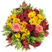 Seen from a soft top-down angle, this hand-gathered autumn bouquet forms a dense, circular tapestry of seasonal colour that feels like a warm afternoon walk through fallen leaves. Clusters of small, golden-yellow button chrysanthemums dominate the view, their minute petals catching the light and creating a sunlit foundation that lifts the mood at first glance. Interspersed among them are flat-faced gerbera daisies in a deep, wine-like burgundy; their dark centres and bold discs introduce a dramatic contrast that anchors the composition. Scattered velvet roses-some a true crimson, others in coral-pink and gentle peach-unfurl in layered spirals, their soft petals adding romantic depth and a tactile softness to reach for. Filling the gaps are star-shaped alstroemeria in cranberry and reddish-brown tones, their freckled throats and slender petals lending intricate texture and movement. The bouquet is cushioned by glossy green foliage, broad leaves with a healthy sheen and a few variegated edges where creamy margins brighten the greens, while occasional reddish-brown maple-like leaves peek from the rim to reinforce the autumn story. A faint, sweet scent with green undertones seems almost perceptible-warm, slightly honeyed, the kind of smell you would associate with a brisk stroll through Denham Country Park in late October. The overall effect is comforting and celebratory, equally suited to a Thanksgiving centrepiece, an intimate autumn wedding, or a thoughtful birthday gift. As a local florist would place it on a table near the station or on Packhorse Road, the arrangement reads as both carefully styled and lovingly familiar to anyone in Gerrards Cross seeking seasonal beauty.