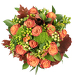 Viewed from directly above on a crisp white background, this autumnal bouquet glows like a small sunset captured in blooms. Coral-to-orange roses form the heart of the composition, each blossom unfurling in tight, velvety spirals with outer petals shaded toward russet and deep peach, their soft edges catching light like painted leaves. Between the roses sit playful clusters of Hypericum berries - some a bright lime green, others a creamy, pale yellow - their smooth, rounded forms offering a tactile contrast to the roses' velour. Pockets of green 'trick' dianthus, dense and moss-like, introduce an unexpected cushiony texture that reads almost like living moss against the floral canvas. Broad glossy foliage provides a lush backdrop while larger lobed leaves in dark, reddish-brown tones are tucked throughout, suggesting the browned edges of late autumn maples and grounding the palette in harvest warmth. The arrangement sits close and intimate in the frame; soft, diffuse light brushes petals and berries, casting gentle shadows that emphasize depth and the artisan's careful layering. There is a quiet woodland scent in the imagination - warm rose perfume tempered by earthy green notes - and the overall effect is one of comfort and abundance. This bouquet would make a warming centrepiece for a Thanksgiving table, a thoughtful seasonal gift, or a cosy accent for a home in Gerrards Cross, the kind of arrangement you might pass on Packhorse Road on your way to a neighbour's harvest supper, handcrafted with an eye for texture, colour, and old-season charm.