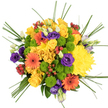 Captured from directly above on a pure white background, this hand-tied bouquet forms a generous, circular tapestry of colour, reminiscent of a sunlit garden tucked behind a home in Gerrards Cross. The eye is first drawn to the cluster of golden yellow roses and plush yellow chrysanthemums at the centre, their many overlapping petals creating a soft, glowing core like pooled sunlight. Surrounding this are striking orange gerbera daisies, each bloom radiating with wide, flat petals and anchored by a deep brown to black centre that adds a rich, graphic contrast. Threaded between these larger flowers are neat domes of lime green button chrysanthemums, their compact, spherical heads introducing a playful, tactile texture and a zing of fresh green. Deeper in the composition, velvety purple lisianthus flowers and their slender buds provide cool, sophisticated notes, receding slightly into shadow and lending the bouquet a sense of depth and refinement. Bright red hypericum berries punctuate the design in small clusters, their smooth, glossy surfaces reminiscent of tiny cherries hidden among foliage. Slim strands of bear grass sweep gracefully over and around the blooms, adding elegant, arching lines that give the bouquet movement and a slightly wild, natural touch. The overall impression is vibrant, optimistic, and carefully composed, suggesting a celebratory gift perfect for birthdays, thank-you gestures, or congratulations for a new chapter in Gerrards Cross life. It looks freshly arranged, as though prepared that morning for delivery to a local doorstep, ready to fill a room with colour and quiet joy.
