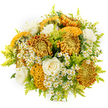This image shows a richly detailed autumn bouquet set against a pristine white background, where every colour and texture appears clear and luminous. The main focus is on large chrysanthemums in glowing shades of ochre, bronze, and deep sunflower gold, some with densely layered, rounded heads and others with captivating, brain-like curves in mustard yellow and earthy chocolate tones. These sculptural blooms are interwoven with several creamy white roses, their petals unfolding in neat spirals, lending a calm, elegant note that feels timeless and reassuring. Scattered throughout are clusters of dainty daisy-like flowers-white petals encircling sunny yellow centres-that recall the light, airy charm of feverfew or chamomile growing along quiet paths near Gerrards Cross station. Slim stems of lime-green foliage and sprays of solidago slip between the larger blossoms, adding brightness and a feathery softness that keeps the arrangement feeling fresh and lively rather than heavy. The bouquet is arranged in a dense, rounded style, with no visible vase, as if it has just been lifted from a florist's bench ready for same-day delivery to a home off Oxford Road or a cosy café in the village. The overall effect is one of comfort, cheerful abundance, and understated luxury, making it a fitting choice for marking seasonal occasions, sending congratulations, or offering a warm, heartfelt message expressed entirely through flowers.