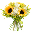 A sunlit, hand-tied bouquet is shown in full detail against a stark white backdrop, its colours and textures recalling a fresh arrangement prepared in a Gerrards Cross flower studio on a bright morning. At the centre, two to three sunflowers claim attention, their broad, golden-yellow petals radiating outward from dark, intricately patterned seed heads that suggest depth and richness. Tucked gracefully around and between them are several creamy white roses, some in tight buds, others opening into layered rosettes, their smooth, velvety petals catching the light and adding a luxurious note. Dancing through the spaces between these larger blooms are clusters of small, white daisy-like flowers, likely chamomile or feverfew, each with a petite yellow centre, bringing a whimsical, meadow-like charm and a sense of gentle movement. A soft cloud of bright chartreuse and lime-green foliage, possibly solidago or a similar airy filler, surrounds and threads through the bouquet, its fine stems and delicate buds giving the whole arrangement a light, breathing quality, as if it had just been gathered from the edges of a field near Gerrards Cross Common. The stems, long and straight, are neatly aligned and held together securely at the base with a slim lime-green ribbon tied in a modest, elegant knot, its ends hanging slightly to one side. The bouquet forms a rounded, generous silhouette, where warm yellow, soft white, and fresh green blend harmoniously. It evokes feelings of warmth, gratitude, and simple happiness, the kind of arrangement chosen to brighten a kitchen table, celebrate a birthday, or say a heartfelt thank you to someone living close to the station or along the leafy residential roads of Gerrards Cross.