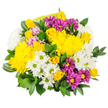 A lush, dome-shaped bouquet of mixed chrysanthemums and spray roses fills the frame, every bloom clearly visible against a clean white background. The overall impression is bright and jubilant, led by clusters of golden yellow chrysanthemums whose fluffy, multi-layered petals seem to radiate warmth outward from the centre of the design. These are entwined with shorter stems of yellow spray roses, some buds still tightly closed and others gently unfurling, adding a touch of classic romance and soft fragrance. Scattered throughout are white daisy chrysanthemums with sharp, neat petals and pale green eyes, providing a crisp contrast that keeps the palette feeling fresh and modern rather than overly rich. Splashes of deep magenta and royal purple daisy-like blooms nestle between the lighter flowers, their vivid tones and yellow centres adding visual depth and a playful, almost confetti-like effect. A few soft pink or lavender accents appear subtly in the mix, gently bridging the gap between the bright yellows and the richer purples. Surrounding and supporting the flowers is a generous amount of glossy dark greenery, the leaves overlapping to create a sense of fullness and natural movement, reminiscent of leafy paths around Gerrards Cross Common. The bouquet feels like a snapshot of a cheerful garden gathered into one armful - bright, textured, and full of life. It evokes the mood of a thoughtful surprise delivered to a doorstep in Gerrards Cross, perfect for celebrations, housewarmings, or simply to lift someone's spirits with colour and the quiet reassurance of fresh, locally arranged flowers.