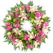 A graceful funeral wreath filled with pink blooms is displayed front-on, the circular shape clearly defined yet softened by layers of petals and foliage. The flowers are tightly massed so there are no gaps, only a continuous ring of colour and texture. Roses are plentiful, some in deep, almost jewel-like magenta, others in bright fuchsia and gentle pastel pink. They appear in every stage, from tight buds with smooth outer petals to fully opened flowers revealing complex, velvety whorls. Weaving among them are double lilies whose broad, silky petals curl and fold in creamy white, soft blush and muted peach tones. A few lilies are captured just as they begin to open, while others remain as pointed lime-green buds, their fresh colour standing out against the warmer shades of the open blooms. The base of the design is a dense collar of greenery, with fern fronds providing a delicate, feathery frame. Their dark emerald leaflets stretch outward like soft lace, while sturdy, shiny leaves closer to the centre cradle each bloom and enhance the depth of the composition. The stark white background and even light give the image a calm, almost contemplative atmosphere, like a wreath resting quietly before a service at a local church or crematorium serving Gerrards Cross families. One can almost imagine this design prepared by experienced florists at Flower Delivery Gerrards Cross, then carried gently to a farewell gathering, its colours and textures offering solace and a message of enduring respect, love and remembrance for the person being honoured.