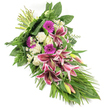 Against a clean white background, an elongated sympathy spray rests in a gentle diagonal, its form reminiscent of a teardrop or crescent, perfect for a dignified farewell in Gerrards Cross. The eye is immediately drawn to the central cluster of Stargazer lilies, their star-shaped blooms unfurling in bold fuchsia-pink with crisp white edging and intricate burgundy speckling, each flower full of character and emotion. Several lily buds, tinged with pink and green, stand among the open flowers, giving a sense of continuity and unfolding remembrance. Rich magenta gerbera daisies are nestled in between, bringing a burst of upbeat colour that speaks of cherished memories. Interwoven with these are creamy white roses, some still tightly closed, and frilled white carnations, their petals soft and full, symbolising purity, respect, and enduring love. Sprinkled throughout the composition are tiny white daisies or similar filler blossoms, adding gentle highlights and fine, lacy texture. The arrangement is framed by lush greenery: broad, glossy dark green leaves create a strong, supportive base, while delicate fern fronds soften the outline. Long, graceful, grass-like leaves sweep outward and down, accentuating the spray's elongated shape and suggesting a quiet, flowing movement. At the top left, the stems are carefully bound together, clearly hand-tied with the attention a florist would give when preparing a tribute to be delivered to a local church or cemetery near Bulstrode Park. The overall effect is solemn yet beautifully hopeful, a comforting expression of sympathy and remembrance for families in the Gerrards Cross area.
