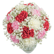 Overflowing with joy and tenderness, this striking bouquet channels the peaceful beauty of Gerrards Cross, from Austenwood Common to the well-tended private gardens dotted through town. The core of the arrangement is a lush gathering of red, pink, and white carnations, their petals ruffled into soft layers that evoke both energy and grace. Cushions of delicate Baby's Breath float among the main blooms, adding a dreamlike haze that softens the bouquet and mirrors the gentle haze of early spring mornings by Denham Lane. Carefully arranged in a rounded, transparent glass vase, the flowers appear almost suspended-each colour and texture perfectly visible without distraction from the clean white backdrop. The fullness of the dome hints at generosity and care, designed by local florists whose knowledge of Gerrards Cross ensures every bouquet resonates with a sense of place. The arrangement radiates a gentle optimism, suitable for brightening milestone occasions or bringing a sense of celebration home after a stroll through West Common. Every petal and stem speaks to the town's spirit: refined, welcoming, and always fresh, ready to deliver warmth and heartfelt emotion to loved ones across Gerrards Cross.