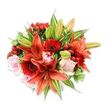 Viewed against a pristine white backdrop, this lush, rounded bouquet reads like a small celebration pinned to paper: several broad, fiery orange-red Asiatic lilies form the dramatic heart of the design, some blooms fully open with finely speckled petals and recurved edges, others held tight in smooth, green buds that promise more colour to come. Nestled between the lilies are deep crimson Gerbera daisies, their many slender petals circling distinct, darker central disks to give the arrangement a textured, almost sunburst rhythm. Soft, blush-pink roses-from tightly furled buds to gently unfurling blooms-introduce a romantic softness that tempers the lilies' bold energy. Tiny clusters of glossy red hypericum berries catch the light like small jewels, adding cheerful, tactile punctuation throughout. The bouquet is abundantly filled with mixed greenery: broad, solid green leaves that act as a calm backdrop and a few variegated leaves with pale green and white streaks that lift the eye and add visual depth. Light falls evenly from above, highlighting the satiny rose petals, the papery, slightly crisp lilies, and the waxy sheen of the berries, while a subtle sweet-and-spicy fragrance seems to hover between the blooms. The overall effect is warm, confident, and celebratory-an arrangement I'd recommend for an anniversary, a birthday, or to brighten a home in Gerrards Cross near the High Street or Stoke Park. As a local florist might explain to a customer who cannot see the photo, the composition is tight, expertly layered, and designed to read beautifully from every angle, with texture and scent as much a part of the message as colour.