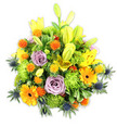 Seen against a clean white studio background, this lush, mounded bouquet reads like a sunlit garden gathered into a single, generous pose. Tall, golden-yellow Asiatic lilies thrust upward, some fully unfurled with speckled throats and visible stamens, others elegant elongated buds that promise more bloom. Soft lavender-purple roses nestle low and central, their satin petals spiralling inward and giving the composition a quiet, romantic anchor amid the livelier hues. Broad, cheerful orange Gerbera daisies sit like small suns, their flat petals radiating from darker centres and bringing immediate warmth. Textured lime-green button chrysanthemums create voluminous, moss-like clusters that fill gaps and lend a sculptural, almost cushiony density. Scattered among these are small, spherical orange and golden-yellow accent blooms-Craspedia-like billy buttons or similar-that add playful, prickly pops of colour and contrast. Cool, steel-blue Eryngium thistles rise from the sides and lower edges; their spiky, architectural bracts introduce a striking, contemporary contrast to the soft petals and verdant foliage. A variety of glossy and matte green leaves-lance-shaped lily foliage and smaller filler leaves-wrap the arrangement, providing depth and a fresh, green backdrop. Soft studio lighting catches petal textures and the slight sheen on leaves, suggesting a faint floral perfume of lilies and roses. Crafted with the careful balance of movement, height and colour, this bouquet evokes celebration, comfort, and a bright, hopeful presence-ideal as a cheerful gift, a centrepiece, or a remembrance offering for someone who appreciates bold yet refined floral design in and around Gerrards Cross.