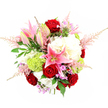 A full, luxurious bouquet is seen from a top-down, slightly angled viewpoint, set against a brilliant white background that makes every colour and texture stand out clearly, as if displayed in a bright studio just off Packhorse Road in Gerrards Cross. At its heart are several deep red roses, their velvety petals tightly furled and beginning to open, creating a strong, romantic centre. Around them, pink stargazer lilies lift their star-shaped blooms, each petal fading from intense pink at the centre to softer tones at the edges, dusted with dark speckles and crowned with long stamens. Some lilies remain as pointed buds, adding anticipation and height. Encircling these focal flowers are generous clusters of creamy white hydrangeas, their ruffled petals overlapping densely to form a plush, cloud-like base that brings a feeling of abundance and calm elegance. Bright lime green spherical blooms-likely Green Trick dianthus or small pom chrysanthemums-nestle between the whites, their moss-like texture adding a refreshing, contemporary jolt of colour. Wispy plumes of pale pink astilbe reach outward from the mass of blooms, giving the arrangement a feathered outline and a gentle sense of movement, while subtle hints of lavender and fuchsia filler flowers weave through the layers, enriching the palette. Dark, glossy rose leaves and lighter, ferny greens frame the bouquet, enhancing its rounded shape and adding depth. The overall impression is of a thoughtfully designed, celebratory bouquet, perfectly suited to be delivered as a special occasion gift, a romantic gesture, or an elegant centrepiece for intimate gatherings around Gerrards Cross.