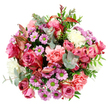 This photograph captures a sumptuous round bouquet laid flat against a pure white surface, allowing every nuance of colour and texture to shine, much like the carefully styled displays in a Gerrards Cross flower shop. At its core, fully opened roses in tones of intense fuchsia and gentle blush pink create a romantic focal point, with some petals softening to cream at their tips, as though kissed by early morning light. These classic blooms are closely embraced by peach-pink carnations whose layered, frilled petals lend a cosy, plush feel, filling out the arrangement so it appears generous from every angle. Dancing between the larger petals are clusters of daisy-like chrysanthemums in joyful lavender and soft purple, each tiny flower ringed around a vivid lime-green centre that adds a bright, almost sparkling detail. Cream and white blossoms are tucked throughout, acting like quiet pauses in the colour melody and stopping the palette from becoming too intense. Woven through the flowers is a thoughtful medley of foliage: cool, silvery eucalyptus leaves provide modern elegance and a refreshing scent; deeper, glossy green leaves underpin the rounded shape; and slender, reddish-pink variegated foliage brings a subtle, contemporary twist, echoing the warm tones of early autumn along Packhorse Road. The overall effect is one of carefully composed abundance and warmth, as if an entire border of a well-kept Gerrards Cross garden has been gathered into a single, harmonious piece. This bouquet feels perfectly suited to birthdays, thank-you gestures, or simply brightening a loved one's home with a same-day delivery that carries colour, fragrance, and heartfelt emotion in every stem.