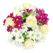 In this overhead image, a generous round bouquet fills the frame, every bloom carefully placed so that the arrangement appears full and balanced against a bright white background. Cream-white roses are the stars, their petals unfolding in smooth, tight spirals that suggest both tenderness and timeless style. Around and between them, white daisy-like chrysanthemums gather in soft clusters, each one formed of fine, even petals circling a small yellow-green centre that brings a fresh, lively glint to the composition, much like the light filtering through trees in Gerrards Cross's local green spaces. Threaded throughout, vivid fuchsia spray chrysanthemums provide a lively contrast, their rich colour humming with energy and giving the bouquet a celebratory lift. Some of these magenta blooms are already wide open, while others remain rounded in bud, hinting at flowers still to come and adding a gentle sense of movement and growth. Small flashes of rich green foliage appear between the petals, reinforcing the natural, just-gathered feel without making the arrangement look heavy. The lighting is clean and even, helping each shade of white and pink remain distinct, as though the bouquet has been placed near a sunny window on a quiet afternoon in Gerrards Cross. Created in the style local customers love for birthdays, thank-you gifts, and thoughtful everyday gestures, this design would sit beautifully on a bedside table or coffee table, radiating calm joy. It's the kind of bouquet that might be ordered to welcome someone to a new home off Oxford Road, offering comfort, warmth, and a soft burst of colour with every glance.