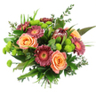 Set against a bright, uncluttered white background, this hand-tied bouquet glows with the balanced charm of a piece crafted by a seasoned Gerrards Cross florist. At its heart, full-bloomed roses in soft peach and apricot tones open generously, each petal layered in smooth curves that convey warmth and gentle affection. Nestled around them, Gerbera daisies in rich magenta and deep burgundy add a brighter, more playful rhythm, their golden or orange centres catching the eye and bringing a cheerful energy that would sit beautifully in a home near West Common or along Oxford Road. Rising slightly above the other flowers, a distinctive protea stands proudly, its conical form and reddish-maroon bracts introducing a hint of the exotic and a unique, tactile texture. Scattered through the bouquet, vivid lime-green button chrysanthemums pop like tiny, rounded lanterns, their lively chartreuse colour bringing clarity and contrast to the palette. A lush halo of greenery holds everything together-broad, glossy leaves, slender grassy spikes, and sprigs of eucalyptus that appear softly silvery, suggesting a light, refreshing fragrance. At the base, the stems are neatly aligned and bound, showing that this is a classic hand-tied design ready to be placed straight into a favourite vase on a dining table, coffee table, or reception desk. The overall impression is of contemporary elegance with a joyful twist, ideal for birthdays, anniversaries, new home celebrations, or simply sending a thoughtful burst of colour and natural beauty to someone special in Gerrards Cross.