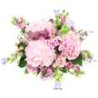 A full, romantic bouquet in layered shades of blush, rose pink, fuchsia, and lilac is set against a bright white background, giving the flowers a luminous, almost airy presence. At the centre sit three large, rounded clusters of pale pink hydrangea, their many small petals overlapping in soft, cloud-like mounds that feel both luxurious and comforting. Around these central blooms, pink roses nestle in varying stages of opening-some tightly furled with just a hint of colour at the edges, others fully open and spiralled, their velvety petals catching the light. Threaded gracefully through the design are branching stems of waxflower, covered in tiny, star-shaped blossoms in richer pinks and magentas, adding fine texture and a lively, speckled effect, as if the bouquet had captured the spirit of a wild hedgerow near Gerrards Cross station. From the edges, slender stems of campanula stretch and arch, their bell-like flowers in soft lavender and periwinkle blue introducing a cool contrast that tempers the warmth of the pinks. Fresh green foliage anchors the arrangement, with broad hydrangea leaves and delicate leafy accents offering structure and a garden-fresh feel, as though it had just been gathered on a gentle spring morning. The composition feels lush but not heavy, carefully balanced and slightly overflowing, evoking celebrations, new beginnings, and tender sentiments. It is the sort of bouquet you might send to a loved one in Gerrards Cross to mark an anniversary, welcome a new baby, or simply bring a little springtime light into their home with a same-day floral delivery.