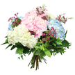 Pastel hydrangea bouquet captured against a bright white background, evoking the calm, polished style often favoured in Gerrards Cross homes. The design is composed of large, round clusters of hydrangeas in three main shades: soft baby pink, cool sky blue, and gentle creamy white. Each cluster is formed from myriad small, petal-like florets that overlap closely, creating the impression of billowy, cloud-soft mounds of colour. Between these generous blooms, fine stems of tiny magenta flowers, reminiscent of waxflower, pop through with their starry blossoms, introducing a richer, jewel-like accent that keeps the pastel palette from feeling too delicate. A collar of lush foliage in varying greens wraps around the base: broad, dark, glossy leaves anchor the bouquet, while lighter, more flexible leaves add movement and a sense of natural growth, as though the stems were just gathered from a garden near Dukes Wood or the leafy roads leading off Oxford Road. The stems are clearly visible at the bottom, pulled together in a tidy hand-tied finish that signals both craftsmanship and freshness. Balanced, neutral lighting allows the pastel tones to appear clean and true, with gentle shadows lending depth but never distraction. The overall impression is soothing yet uplifting, a bouquet that would sit beautifully on a kitchen island, brighten a hallway console, or arrive as a thoughtful delivery to a friend in Gerrards Cross, expressing support, congratulations, or simple appreciation with quiet, confident grace.