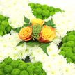 This floral image shows a carefully arranged funeral cross that blends Irish-inspired colours with classic sympathy design, created for a family in the Gerrards Cross area. The cross itself is fully covered in immaculate white chrysanthemums, their many-layered petals lying closely together to form a deep, cushiony surface that looks soft to the touch. The white blooms are consistent in size and tone, giving a unified, tranquil appearance, as if a blanket of petals has been laid down with meticulous care. Around the outer sections of the cross and at visually important points, tight clusters of lime-green button chrysanthemums rise in rounded domes. Their compact, berry-like heads add a different texture and a lively, natural freshness, reminiscent of the bright greens seen in nearby Bulstrode Park in early spring. At the centre, where the arms of the cross meet, three roses create a warm, glowing heart to the design. Their colouring shifts from rich orange in the inner petals to honeyed yellow at the outer edges, suggesting warmth, affection, and a hint of sunlight on a quiet day. These roses are surrounded by a neat ring of greenery-tiny green berries or buds and fine fern leaves-adding structure and contrast while keeping the focus on the roses themselves. The composition is balanced and harmonious, neither too bold nor too pale, ideal for a respectful tribute at a funeral service or memorial gathering in Gerrards Cross. It conveys a message of peace, remembrance, and enduring connection, like a final embrace offered in floral form.