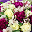 In this detailed, eye-level close-up, a hand-crafted bouquet completely fills the image, radiating calm elegance with a hint of drama, much like a carefully chosen gift delivered to a doorstep in Gerrards Cross. Dominating the composition are several creamy white roses, their petals smooth and velvety, spiralling out from tight centers into open blooms that look almost luminous against the surrounding colours. Some of these roses carry a soft blush of pale yellow at their cores, suggesting warmth and gentle light. Nestled closely around them are rich magenta and deep purple carnations, their plentiful, frilled petals forming dense, cushion-like clusters that add both volume and intensity to the design. Punctuating this interplay of cream and berry tones are white alstroemeria, or Peruvian lilies, with slender petals that stretch outward gracefully. Fine streaks and speckles of pink and burgundy mark these petals, adding intricate detail that draws the eye closer, like tiny brushstrokes in a painting. Between the blooms, fresh green foliage emerges-smooth, broad leaves that offer contrast and structure, guiding the gaze through the arrangement. A soft lavender wrapping, just visible along the outer edges, cradles the flowers and subtly echoes the purple of the carnations, without distracting from the blooms themselves. The lighting is even and soft, allowing every petal edge and leaf vein to be clearly seen, while maintaining a gentle, inviting mood. This bouquet feels ideal for conveying appreciation, congratulations, or heartfelt support to someone nearby-perhaps after a peaceful walk across Gerrards Cross Common-capturing a balance of refinement, tenderness, and natural beauty.