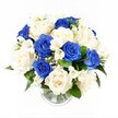 A beautifully balanced blue and white condolence bouquet stands in a plain, clear glass vase, photographed from a slightly raised angle so the viewer can see the smooth, domed outline of the flowers. The arrangement feels composed and tranquil, as though it has been placed on a quiet sideboard in a Gerrards Cross home before a memorial gathering. Deep royal blue roses provide the strongest note, their velvety petals layered densely to create pools of rich colour that draw the eye. Nestled closely among them are numerous creamy white and ivory roses, with soft, unfolding petals that appear almost luminous against the neutral background, echoing the gentle light that filters through trees in nearby Austenwood. The interplay between these cool blues and warm whites feels serene and reflective. Woven through the roses are stems of white freesia, their smaller bell-shaped blooms clustered along thin green stalks, bringing a delicate touch and suggesting a fresh, subtle fragrance. Scattered even more finely are sprays of white gypsophila, or baby's breath, like tiny clouds filling the spaces and giving the bouquet an airy softness despite its density. A collar of dark green foliage encircles the base and peeks between the blossoms, grounding the palette and adding natural depth. The clear, cylindrical vase reveals straight, clean stems resting in a little water, with a ribbed base that catches the light in faint rings. The overall mood is one of quiet comfort and dignified beauty, a fitting floral tribute to express sympathy, remembrance, and support for families and friends throughout Gerrards Cross when words feel inadequate.