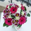 Radiant and exuberant, this bouquet presents a striking blend of florals reminiscent of Gerrards Cross's lively market mornings. Bold hot pink Gerbera daisies form the heart of the arrangement, their petals vivid and almost electric as they draw the gaze inwards. Flanking them, playful clusters of chrysanthemum-like flowers with deep purple petals capped in crisp white bring a sense of rhythm, their bright lime-green centres sparkling with personality. Creamy ivory roses nestle alongside, their spiralled forms and gentle fragrance infusing the composition with understated elegance. Wispy clouds of gypsophila float between blooms, lending an ethereal, airy lightness-like early spring mist over Bulstrode Park. Shiny dark green foliage acts as both anchor and frame, highlighting the vivacity of the central blooms. The bouquet rests on a clean white table, the pure background lifting every colour into sharp focus. Behind, just out of clarity, hints of decorative metalwork evoke Gerrards Cross's graceful homes. This cheerful, expertly constructed bouquet feels made for celebration-whether for a milestone birthday, an anniversary along Ethorpe Crescent, or as a vibrant thank you to brighten a friend's day. Every detail expresses joy, local expertise, and the welcoming spirit of this beloved community.