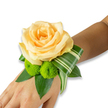 Delicately poised on the inner wrist of a wearer with warm, light-to-medium brown skin, this fresh floral corsage reads as a small, wearable bouquet photographed against a crisp white background. At the heart of the piece a single, fully opened rose in a soft peach-apricot tone unfurls with layered, velvety petals that catch a gentle, diffuse light and suggest a faint scent of honeyed rose. Nestled beneath and to the lower left of the rose are two bright lime-green button chrysanthemums - the cheerful, pom-pom forms providing a lively, textured counterpoint to the rose's smooth, spiraling petals. Rich, glossy foliage creates a sculpted base: broad dark-green leaves, likely salal or ruscus, give weight and depth while a folded, striped variegated leaf (reminiscent of Dracaena or ti leaf) arcs gracefully from under the bloom, its pale stripes and architectural curl lending a contemporary accent and a sense of movement around the wrist. The entire composition is compact and meticulously wired or fastened so it sits close to the skin; the securing band is discreet and out of sight in the photograph. Light is soft and even, emphasising the fresh dewy texture of petals and the sheen on the foliage, and the overall palette - peach, lime green and shaded greens - feels quietly celebratory and tender. As a local florist I imagine this corsage accompanying a bride from Packhorse Road to the church, or a prom-bound guest boarding the train at Gerrards Cross station: intimate, seasonally fresh and crafted to be both comfortable to wear and instantly photographable.