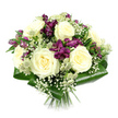 This image shows a beautifully crafted bouquet set against a clean white background, every element clearly visible and thoughtfully placed. The design is predominantly round and compact, anchored by a cluster of creamy white roses at its heart. These roses are fully opened, with seven or eight large blooms displaying those classic spiralling petals that speak of refinement and quiet emotion. Their soft cream colour brings a sense of peace and timelessness, perfect for sending a message of love or remembrance to someone in Gerrards Cross. Weaving between the roses are vibrant deep purple and rich magenta alstroemeria, their trumpet-shaped blooms adding both contrast and movement. Some flowers are in full flower, their petals gently flaring outwards, while others remain as slender buds, hinting at freshness and longevity once they arrive in a local home near Bulstrode Way or Fulmer. Fine sprays of white gypsophila drift through the arrangement like tiny stars, softening the overall effect and filling in small spaces so no hard edges show. Delicate green-white astrantia bring a slightly wild, textural note, their pincushion-like centres surrounded by fine bracts, reminiscent of cottage gardens tucked behind the tree-lined avenues of the area. The entire bouquet is neatly framed by broad, glossy aspidistra leaves, folded and wrapped to form a smooth green collar that gives structure and polish. Their deep green shade sets off the creams and purples beautifully. The stems are hand-tied and trimmed cleanly, disappearing into the white backdrop. Overall, the bouquet feels calm, elegant, and carefully considered, ideal for thoughtful deliveries that mark life's more meaningful moments around Gerrards Cross.