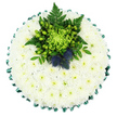 This image shows a round funeral cushion, captured in a clear overhead shot against a plain white backdrop, so the eye goes immediately to the flowers. The tribute is built on a base of countless small white chrysanthemums, packed so closely together that they form a continuous, cushion-like surface, almost like a freshly fallen layer of snow. Their petals are soft and numerous, creating a gentle, velvety texture that conveys peace and purity, while the faint yellow-green centres of each bloom hint at quiet life beneath the calm exterior. Encircling the design, a deep emerald green satin ribbon has been folded into even, ruffled pleats, giving the edge a polished, decorative finish and a dignified touch of colour. Toward the top of the circle, a striking central cluster introduces contrast and meaning. Here, a vivid green spider chrysanthemum spreads its long, thread-thin petals in every direction, surrounded by glossy, apple-green Hypericum berries and a mix of fern fronds and lush, dark foliage. The greens feel fresh and full of natural energy, yet still respectful and composed. Among this greenery sit two unmistakable Scottish thistles, their rounded, spiky flower heads shaded in dusty blue or violet, providing a strong visual anchor and suggesting a tribute with Scottish connections. The overall arrangement, cool and serene, would be a fitting choice for a funeral or memorial service in Gerrards Cross, perhaps delivered to a local church near the common or to a chapel along the A40. It reads as a heartfelt expression of condolence, handcrafted by a skilled florist who understands the need for both beauty and understated grace at a time of loss.