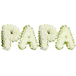 A tender, dignified floral tribute that spells out PAPA in four large, uppercase letters, each letter formed from dense clusters of pristine white spray chrysanthemums that create a soft, slightly domed surface. The blooms are tightly packed so the texture reads as a gentle, ruffled cushion; their creamy-white petals catch a cool, even light that emphasizes the purity and calm of the arrangement. Around the edges of each character a pale, lime-green pleated ribbon or narrow foliage border weaves in a soft, wavy line, giving crisp definition and a touch of fresh colour against the white backdrop. From a florist's vantage point you imagine the faint, comforting scent of chrysanthemums and the subtle coolness of freshly cut stems beneath the surface, a quiet sensory presence meant to soothe mourners. The letters lie horizontally in a balanced row on a pure white background, designed to sit at the front of a chapel or near a graveside as a personal tribute to a father or grandfather. The palette of white and green evokes peace, purity and gentle remembrance, and the craftsmanship-careful spacing, neat contours and the tactile dome of petals-speaks of an experienced hand arranging a farewell. This composition would be fitting at a wake or memorial service, conveying intimate affection and steady respect without flourish; it's a floral language of love and loss that honours a paternal bond with grace and understatement, and it reads clearly even from a small distance so family and friends can see the tribute's name and sentiment.