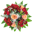 A lush, tightly domed bouquet viewed from directly above on a pristine white background, every note of colour and texture deliberately composed to sing. At the center, several large roses in a soft peach-apricot shade open in classic spirals, their velveteen petals tipped with the faintest blush of pink, while smaller, deeply furrowed red roses tuck into the middle like whispered promises. Around them, clusters of deep red spray chrysanthemums bring a textured, almost velvet density with their many narrow petals and greenish-yellow eye, creating a dramatic contrast to the creamy roses. Scattered throughout are fine clouds of white gypsophila, their tiny blossoms floating like mist and lending air and movement to the composition. The arrangement is encircled and layered with rich green foliage: broad, glossy leaves that could be salal or camellia form a smooth outer collar, silvery-green eucalyptus provides a cool, papery contrast, and folded, dark green decorative leaves add sculptural lines and depth. Unusual darker seed pods or protea-like buds peek through, introducing an element of rustic intrigue and tactile contrast. Soft daylight catches subtle highlights on the petals and glossy leaves, suggesting the freshness of the stems and the gentle scent of rose undercut by green, herbaceous notes. The overall mood is warm, celebratory, and intimate - an arrangement that reads as both classic romance and thoughtful artistry. As a local Gerrards Cross florist might say, this bouquet suits anniversaries, birthdays, or quiet gestures of love and would sit beautifully on a high street table or a kitchen breakfast nook, bringing immediate cheer and comfort.